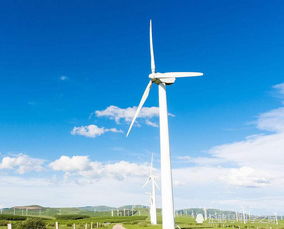 風(fēng)力發(fā)電的環(huán)保悖論 清潔能源為何可能加劇全球變暖？
